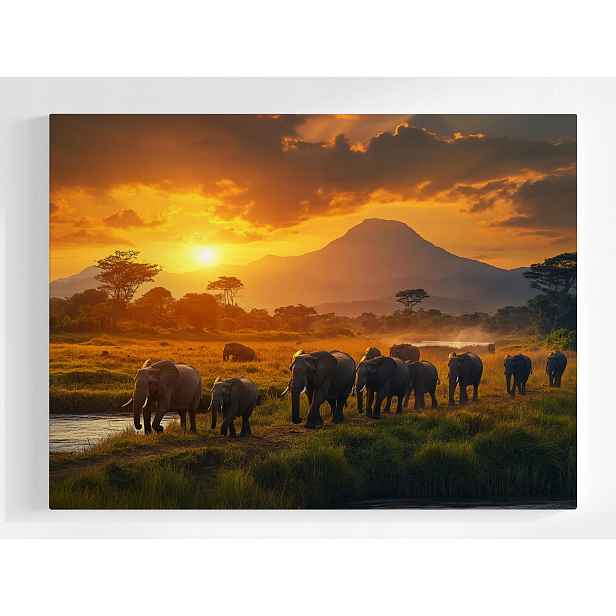 Plakát Zvířata Fauna Afrika Slon Sloni Západ 100x75