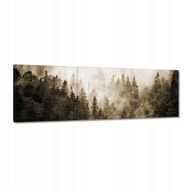 Obrazy 120x40 Krajina Sépie Hory Mlha