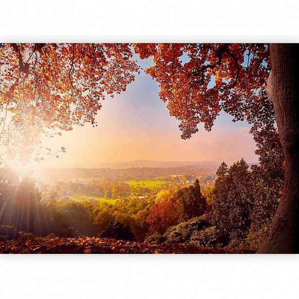 artgeist FOTOTAPETA velikost: 250/175 cm