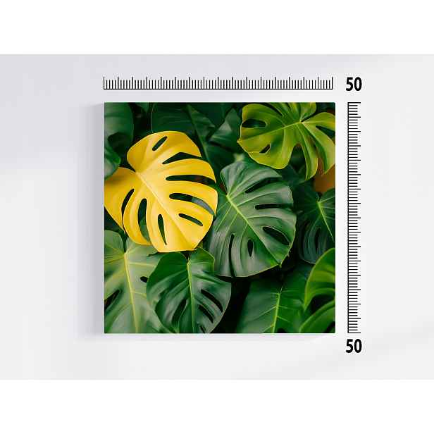 Obraz Na Plátně Plátno Příroda Rostliny Listy Monstera 50x50
