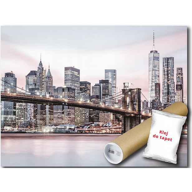 Vinylová Fototapeta New York Panorama Manhattan Pohled 152x104