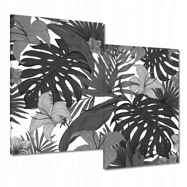 Obrazy 80x70 Černobílá monstera