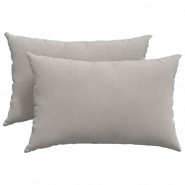 vidaXL Pohovkové polštáře 2 ks textil Světle šedá 60 x 40 cm