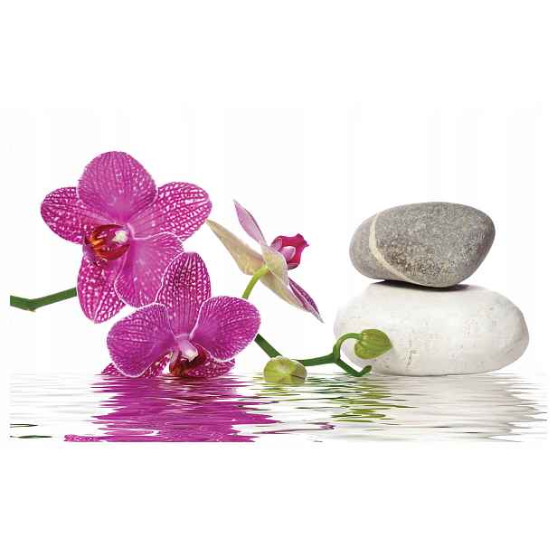 Fototapeta flizelina Orchideje kameny voda růže bílá harmonie 200x140 lepidlo
