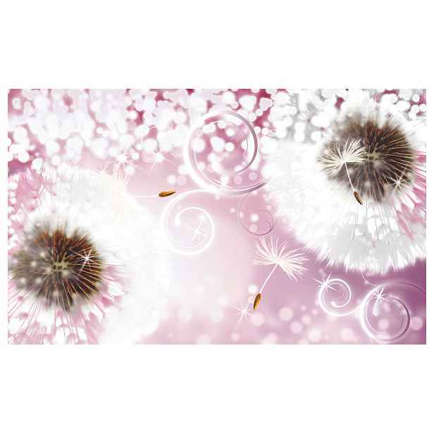 Vliesová fototapeta Bílé pampelišky růžové pozadí bokeh lesk 254x184 lepidlo