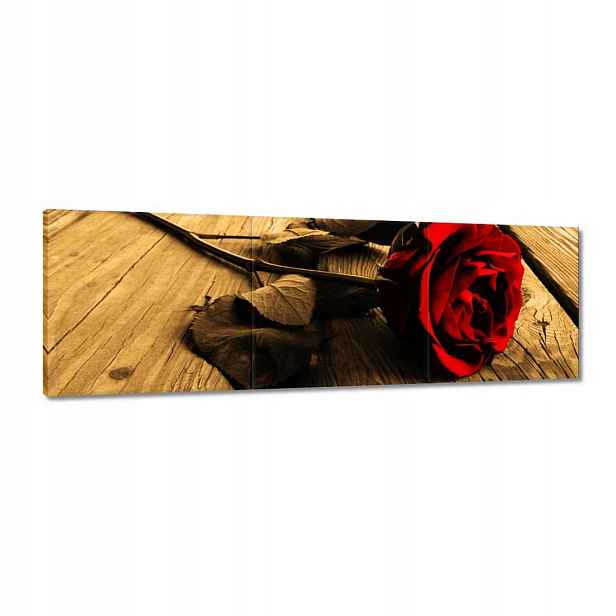 Obrazy 120x40 Růže na sépiových deskách