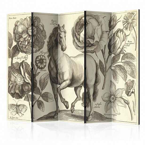 artgeist PARAVÁN, 225/172/3 cm