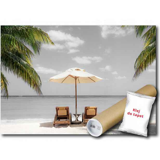 Fototapeta Pláž Lehátka 3A F2XL 312x219 F13341