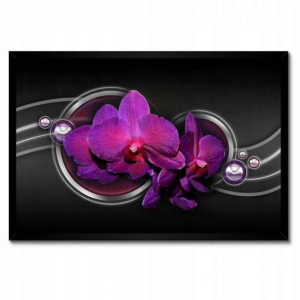 Plakáty v rámu 60x40 Fialová orchidej