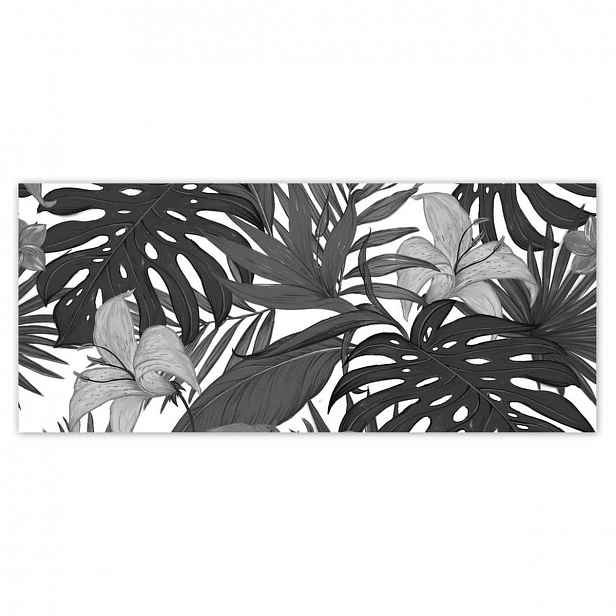 Fototapety 211x91 Černobílá monstera