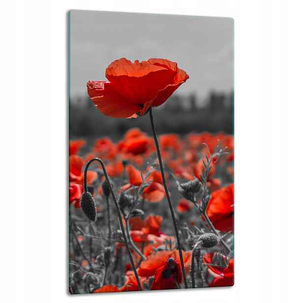 7v1 Skleněná Deska Panel Deska 30x52 Květiny