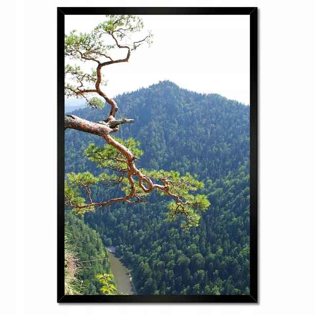 Plakáty v rámu 40x60 Osamělý strom