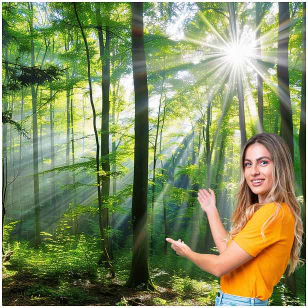 Fototapeta 3D Obývací Pokoj Ložnice Les Stromy Slunce 392x280 PO11W