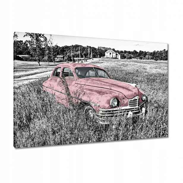 Obrazy 120x80 Růžová babička Historická