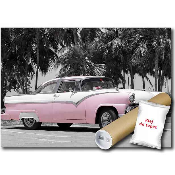 Fototapeta Ford 17A F4XL 416x290 F13332