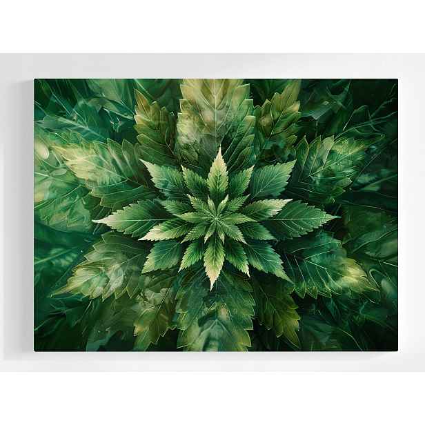 Plakát Mandala Konopný List Zelená Příroda BOTANIKA100x75