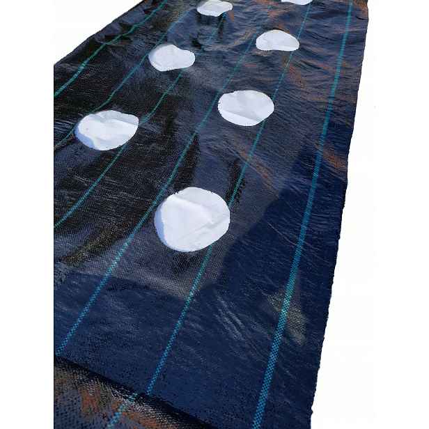 agrotextilie Otvory Pro Jahody Okurky rajčata 1,1 x 20 m Uv Na Plevel