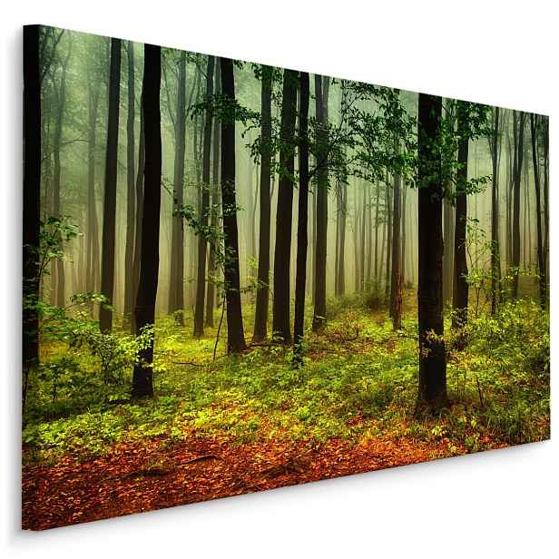 Plátno Lesní Krajina Varianta: 90x60