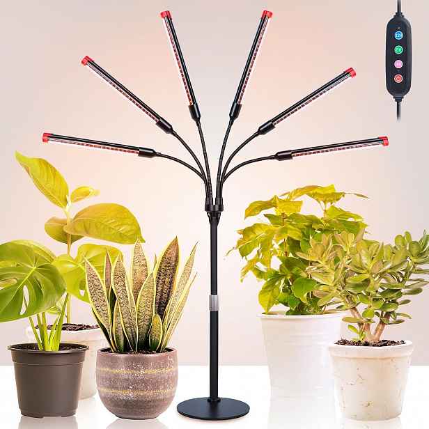 Lampa pro pěstování rostlin v interiéru se 6 hlavami Jinhongto