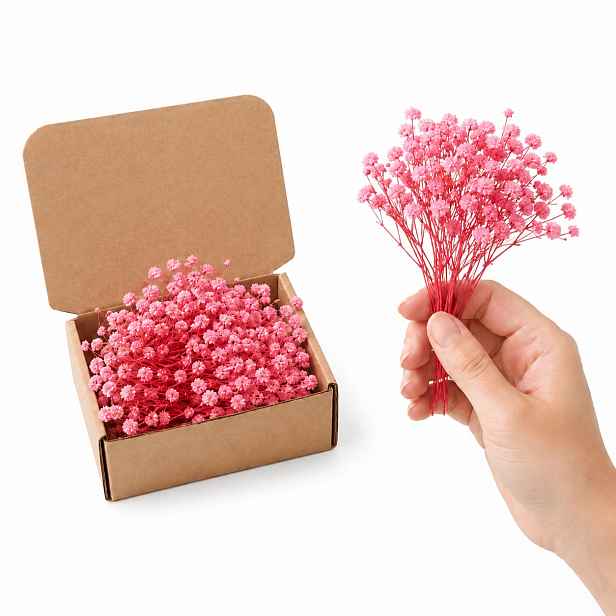 Růžová Sádra 50-60 Sušených Větviček 15 cm Svatba Dárek Flowerbox Krabička