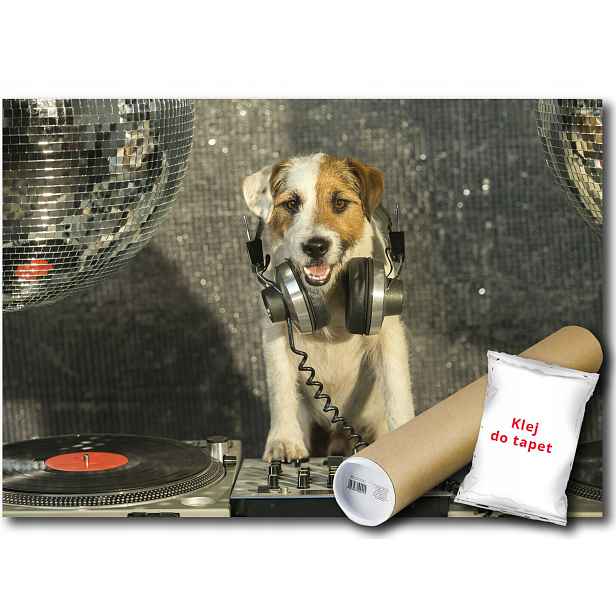 Vliesová fototapeta Pes Dj, hudební Dj, disco 416x254