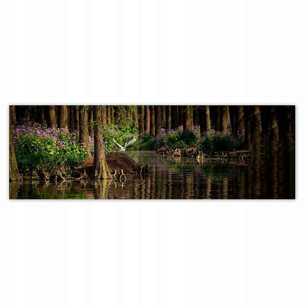 Plakáty 200x66 Krajina Pohled