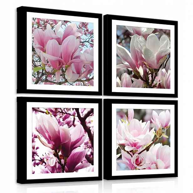 Obraz Na Plátně Canvas 50x50 Květy Magnolie