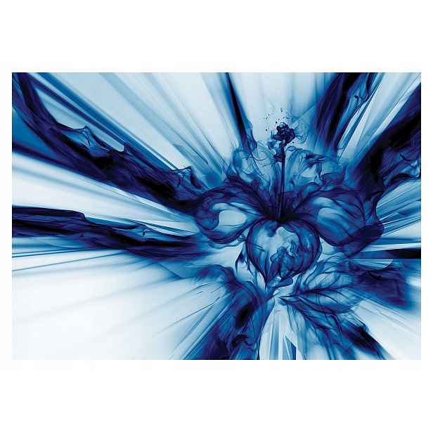Fototapeta Abstrakce Květ Energie Minimalismus vinylová 254x184 lepidlo