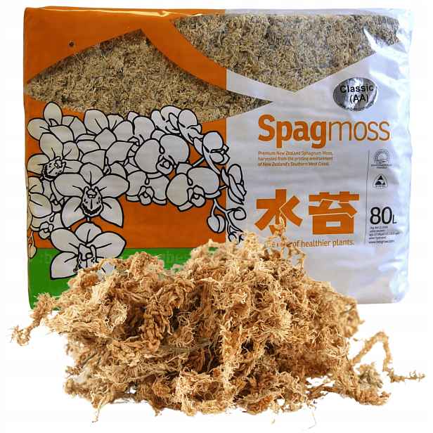 Mech Sphagnum Rašelinový Besgrow 80L Spagmoss Classic 1KG substrát pH 4,8