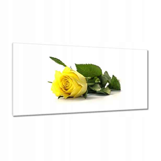 Obrazy 115x55 Žlutá růže pro dívku