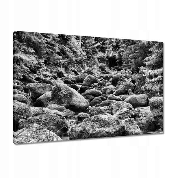 Obrazy 90x60 Tatry Polské hory Pohled