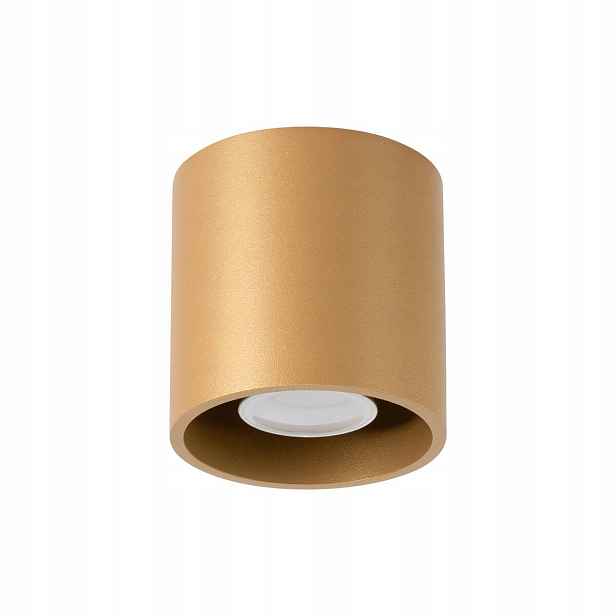Sollux Stropní svítidlo bodová zlatá kulatá tuba 10 cm do obývacího pokoje kuchyně