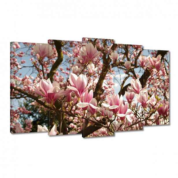 Obrazy 100x60 Magnolie Květiny Světle Modrá