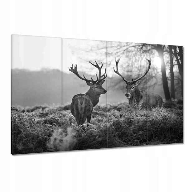 Obrazy 120x80 Černobílí jeleni