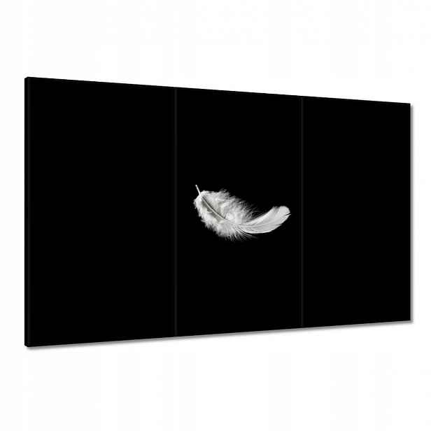 Obrazy 120x80 Nadýchané bílé peříčko