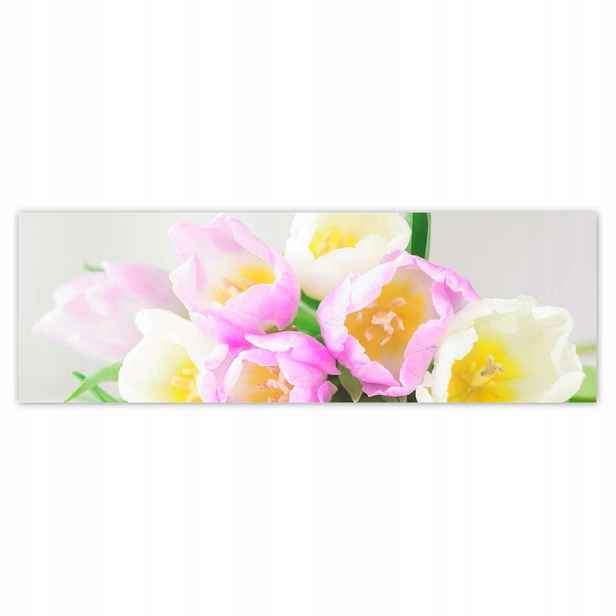 Plakáty 200x66 Jemné tulipány