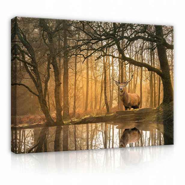 Wallarena PLÁTNO Příroda Les Jelen 100x70
