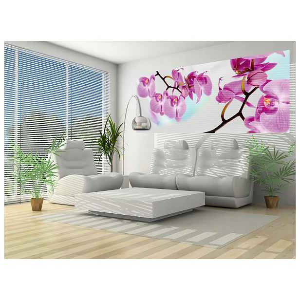 Fototapeta Orchideje růžové květy elegance do ložnice 250x104 lepidlo