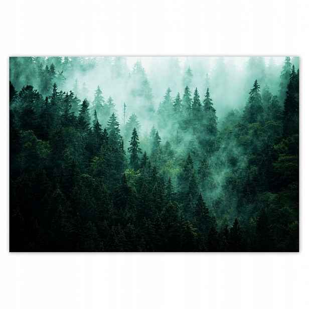Fototapety 200x135 Les Mlha Krajina Cestování