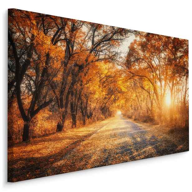 Plátno Cesta V Podzimním lese I. Varianta: 30x20