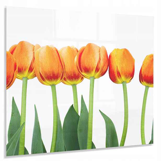 Ochranný Panel 60x50cm 4mm Dekorativní Do Kuchyně Tvrzený Lacobel
