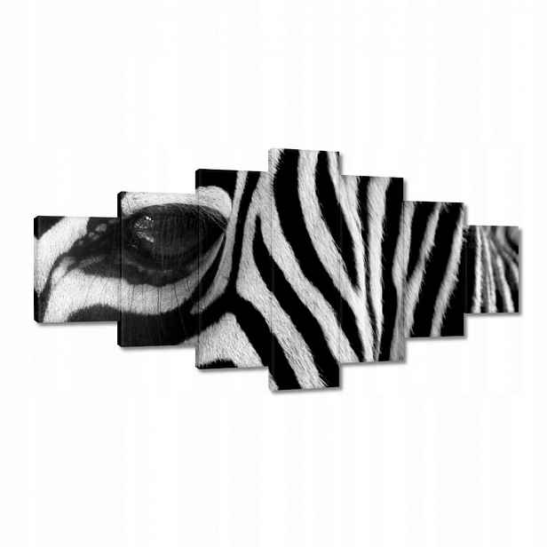 Obrazy 210x100 Černobílé pruhy Zebra