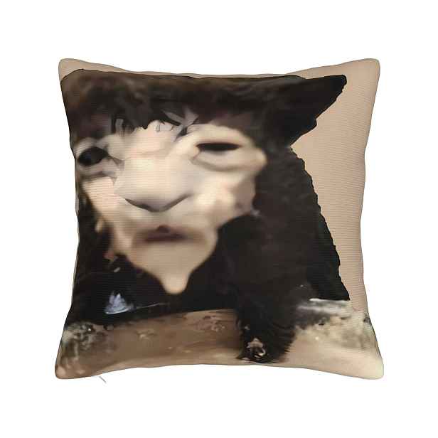 TEMU 2D plochý - 2D potisk design podezřelý kočka humorný a přehnaný kočičí meme internetová pop polštářová povlak na polštář do auta, statku,