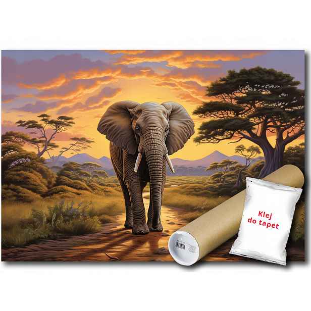 Vliesová fototapeta Slon Zvíře Safari Západ Slunce Příroda 208x146
