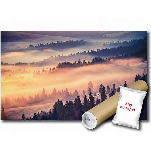 Vinylová Fototapeta Les Zima Hory Pohled 152x104