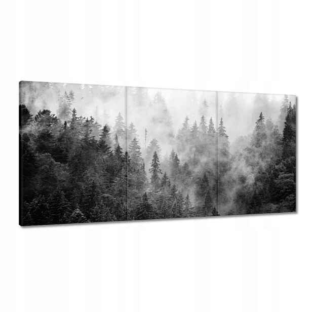 Obrazy 180x90 Krajina Šedá Hory Mlha