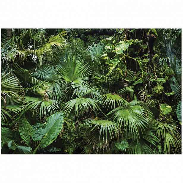Wallarena FOTOTAPETA Jungle Forest Vliesová tapeta 150x105