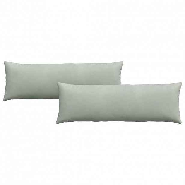 vidaXL Pohovkové polštáře 2 pcs Světle šedá 120 x 40 cm