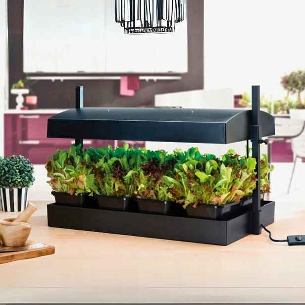 Grow Light Garden Led Black 32W Propagátor Bylinkový Záhon s osvětlením