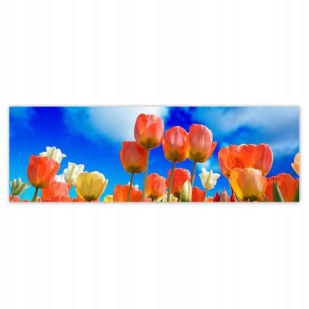 Plakáty 200x66 Barevné tulipány Květiny